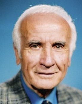 Rıza Pekkutsal as Afili (voice)