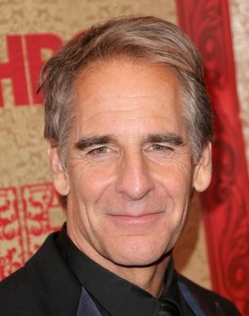 Scott Bakula Photo