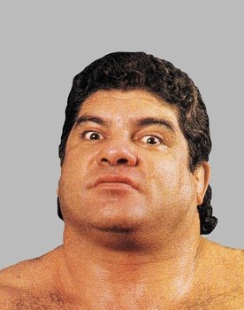 Don Muraco