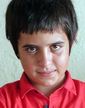 Doğan İzci as Aslan