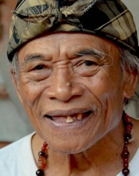 Hadi Subiyanto as Ketut Liyer