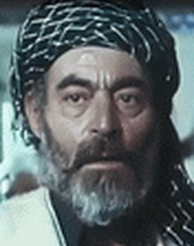 Nariman Shiri fard as 