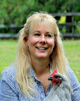 Permaculture Chickens