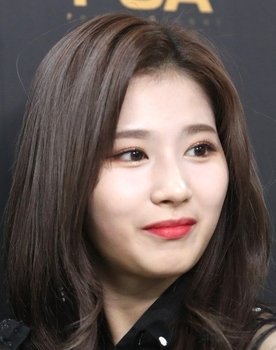 SANA as Self