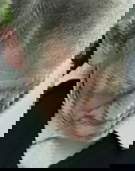 Derek Bailey as Himself