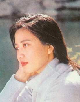 Li Xiuming as Jia Yuanchun