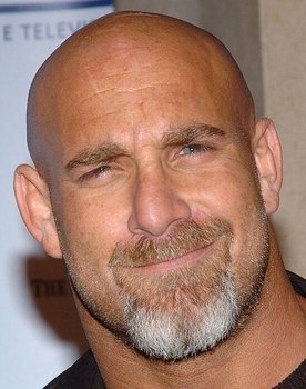 Bill Goldberg Photo
