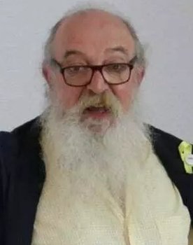 Vicenç Manel Domènech