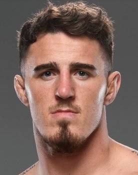 UFC 295: Prochazka vs. Pereira
