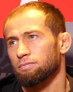 UFC on Fox 14: Gustafsson vs. Johnson