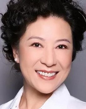 Wang Fuli