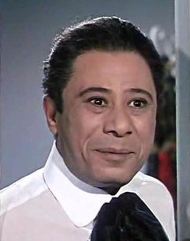 Ibrahim Saafan as 