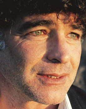 Meir Ariel as Meir Ariel