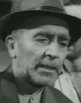 Petar Vujović