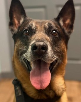Bragi as Petra