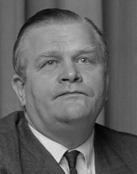 Gijs van der Wiel