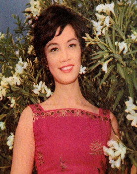 Fung Chan as Dong-Mei's big sister