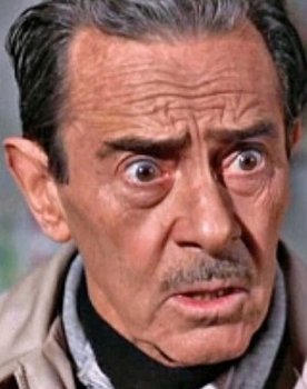 Charles Wagenheim as Bud Haynes
