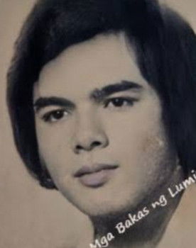 Marlon Ramirez as Nanding Karyas