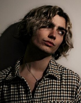 Lucas Aaron as Media Journalist