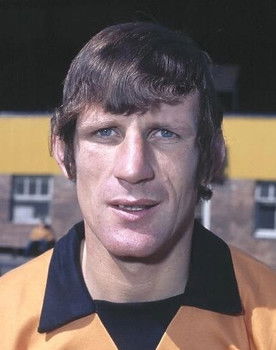 Dave Woodfield as Himself