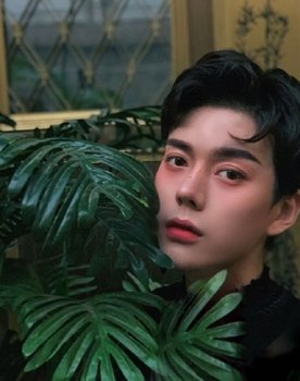 Liu Tian Yang as Ling Hao