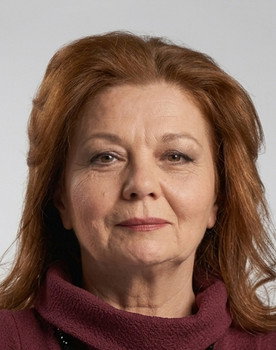 Gönen Bozbey as Halit Çelenk'in Eşi