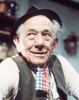 Ludwig Schmid-Wildy as Ferdl