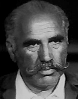 Hassan Garrousi as Bartender