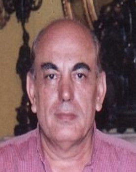 Abdel Aziz Elsokkary