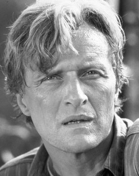 Rutger Hauer as Mysterious Man