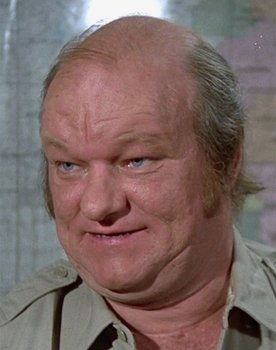John Quade as Roy