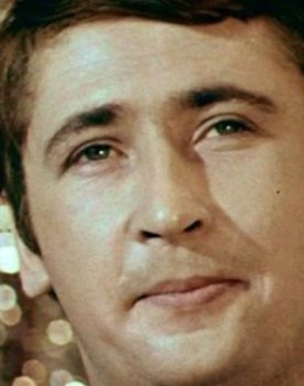 Vladimir Kulik as Соколов