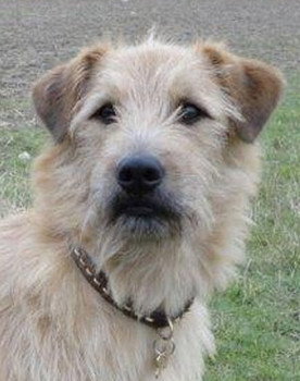 Barley as Garrick (uncredited)