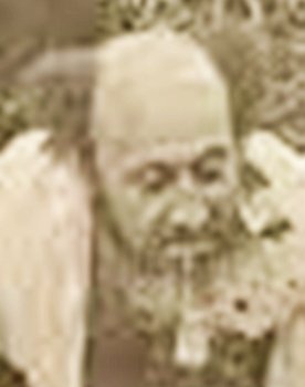 David Camargo as Professor