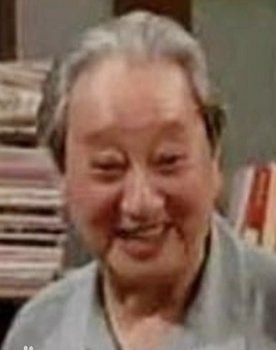 Jiang Zulin as 