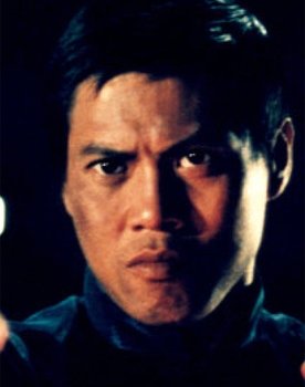 Lo Lieh as 金震海