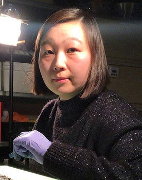 Alisi Telengut as Voice