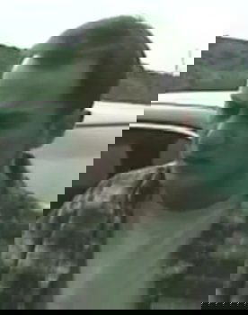 Tim Young as Lester Dwervick