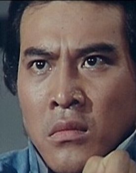 Chiang-Lung Wen as Fei Lung