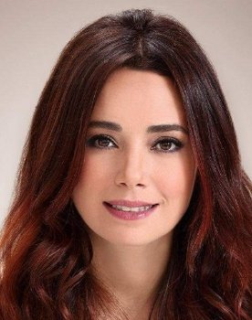 Özgü Namal as Dona