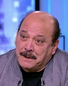 Diaa ElMerghany