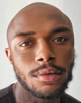 Davi Stefond