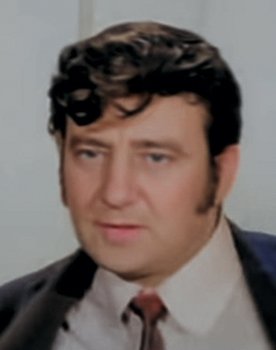 Hüseyin Zan as Soyguncu
