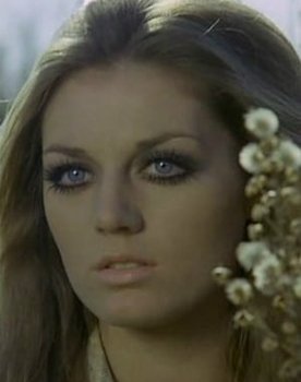 Simonetta Vitelli