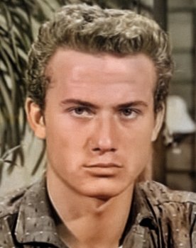 Kuzey Vargın as Koray
