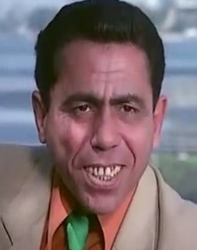 Sayed Hatem