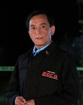 Pinatubo: Pagbangon sa Abo