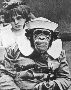 A Prohibition Monkey