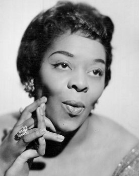 Bluesland: A Portrait in American Music